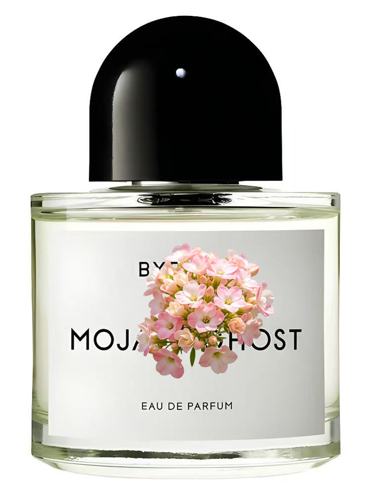 Perfumy unisex 100ml 3.4 fl.oz – Amber Musk Oil recenzja i cena